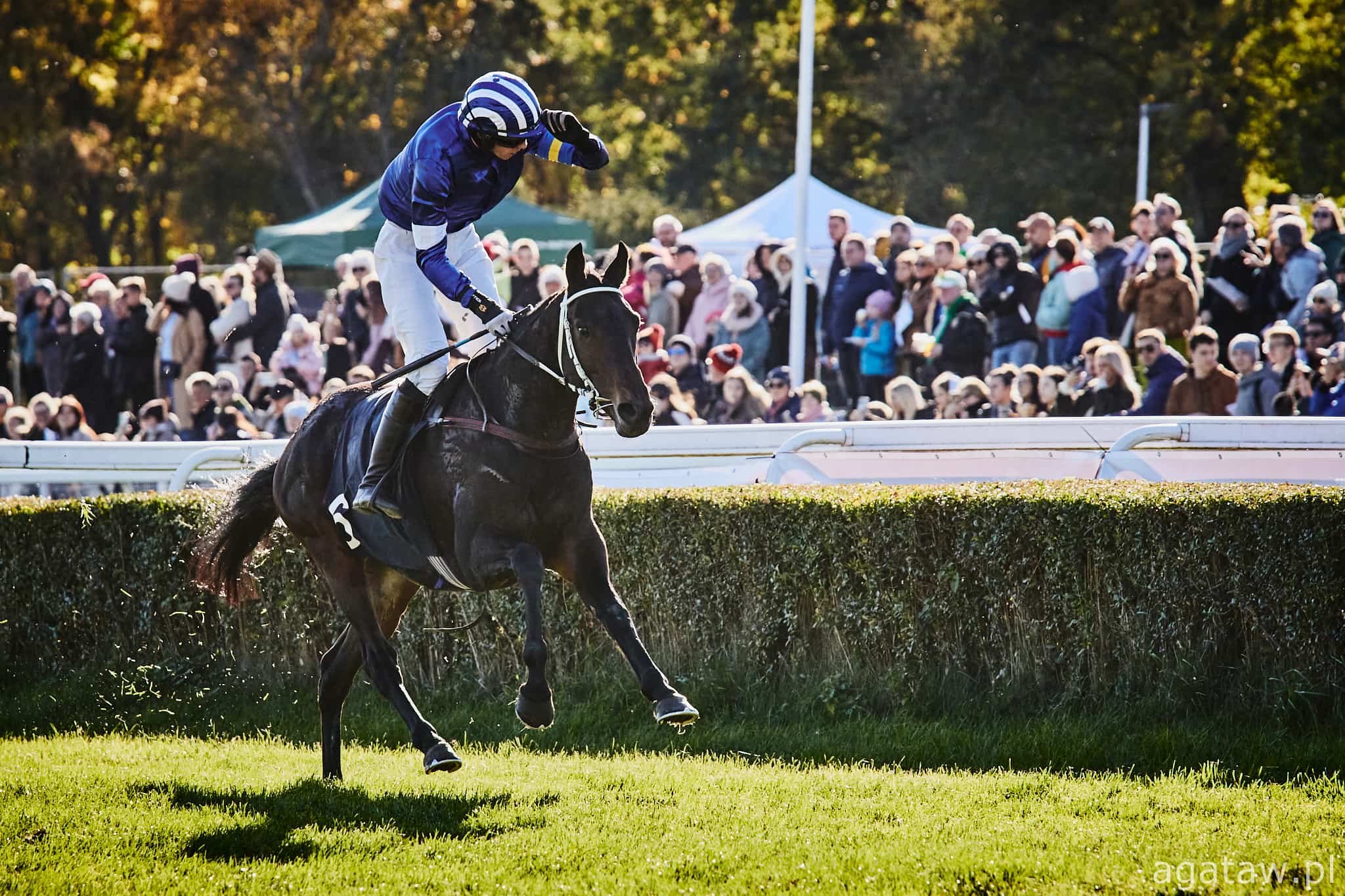 img: Wygrywał na Partynicach, teraz zwyciężył we Francji