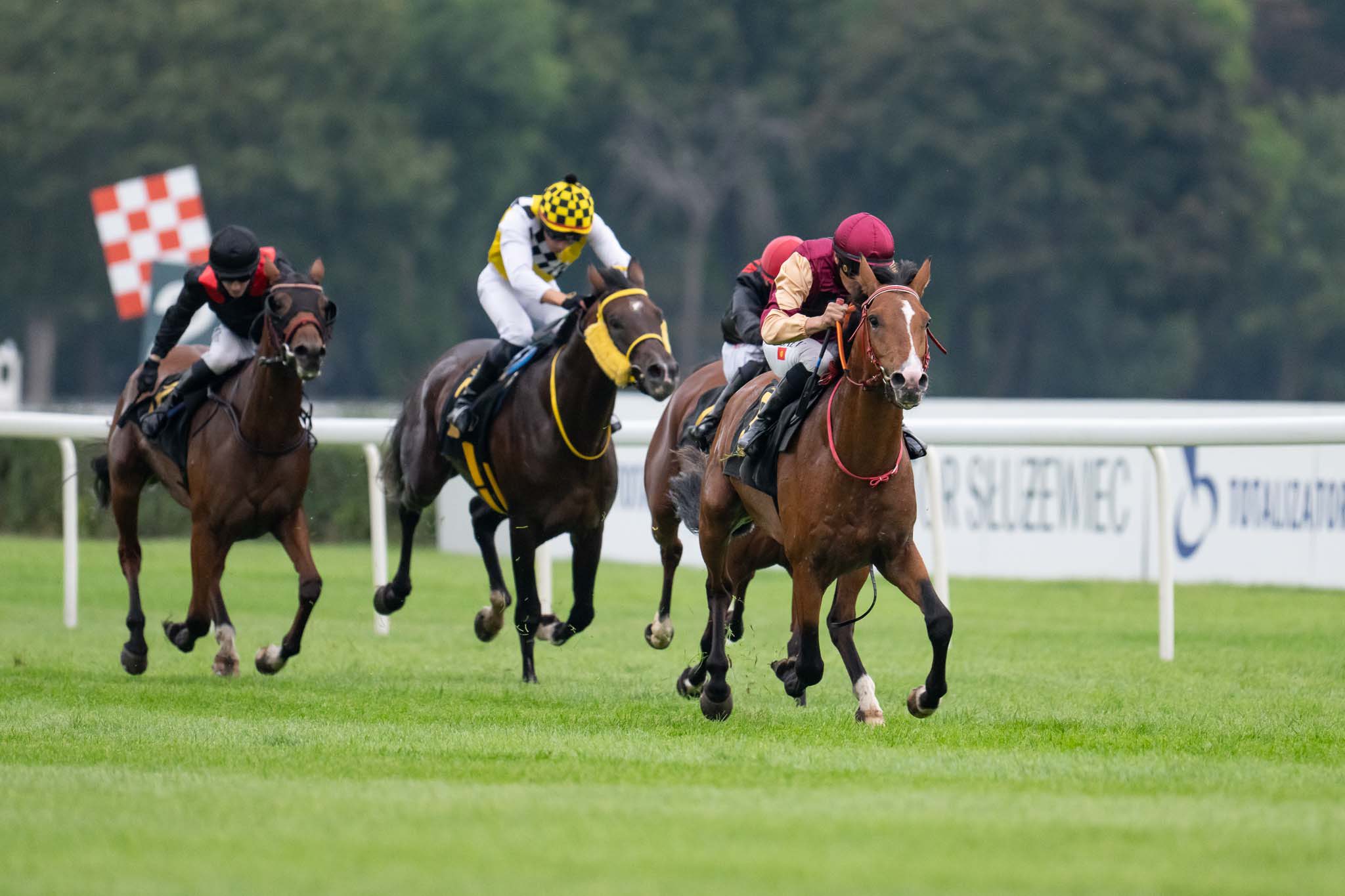 img: Partynickie konie w pozagrupowych gonitwach dla młodych arabów