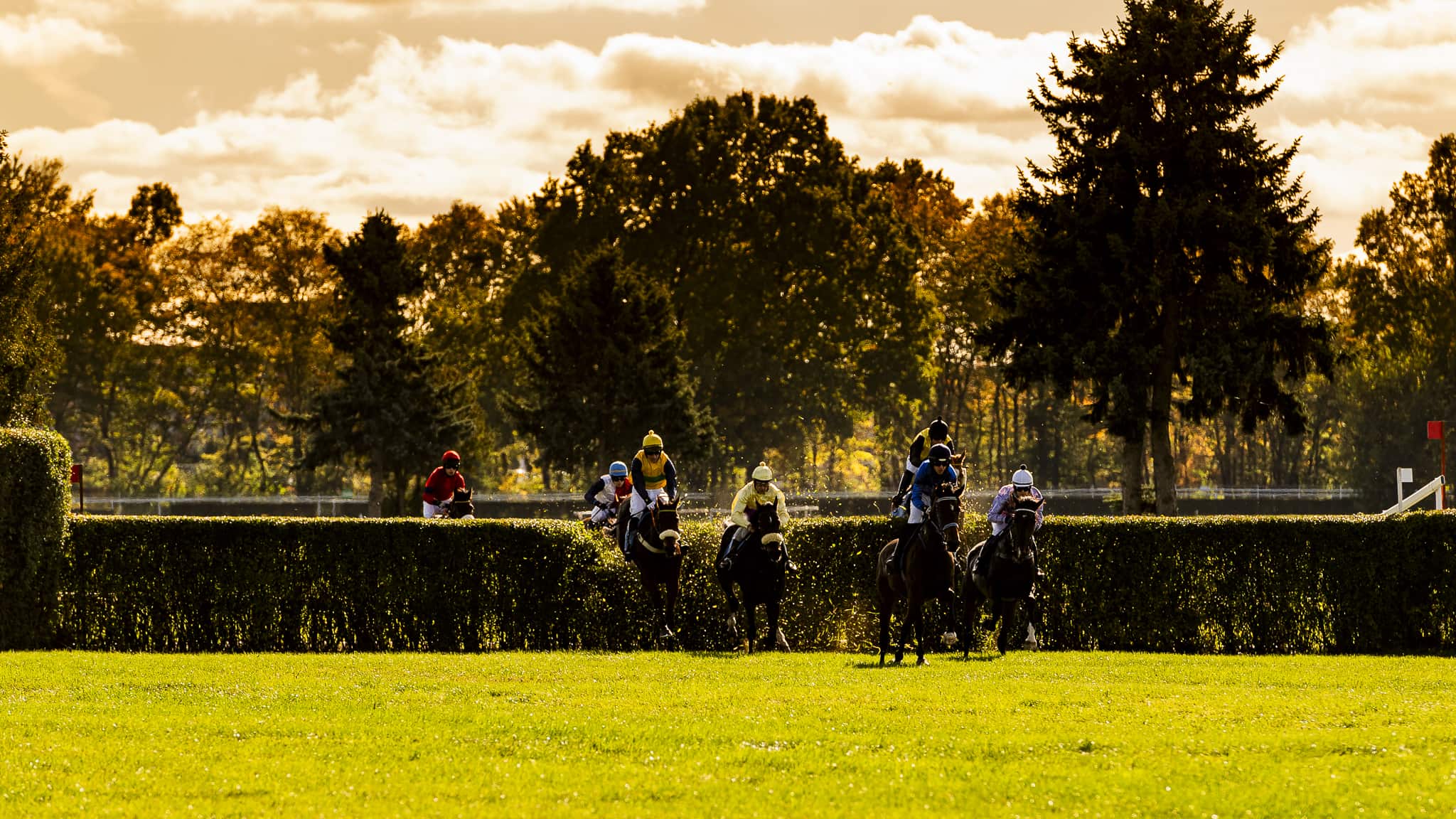 img: Finałowy akord sezonu z końską dawką emocji