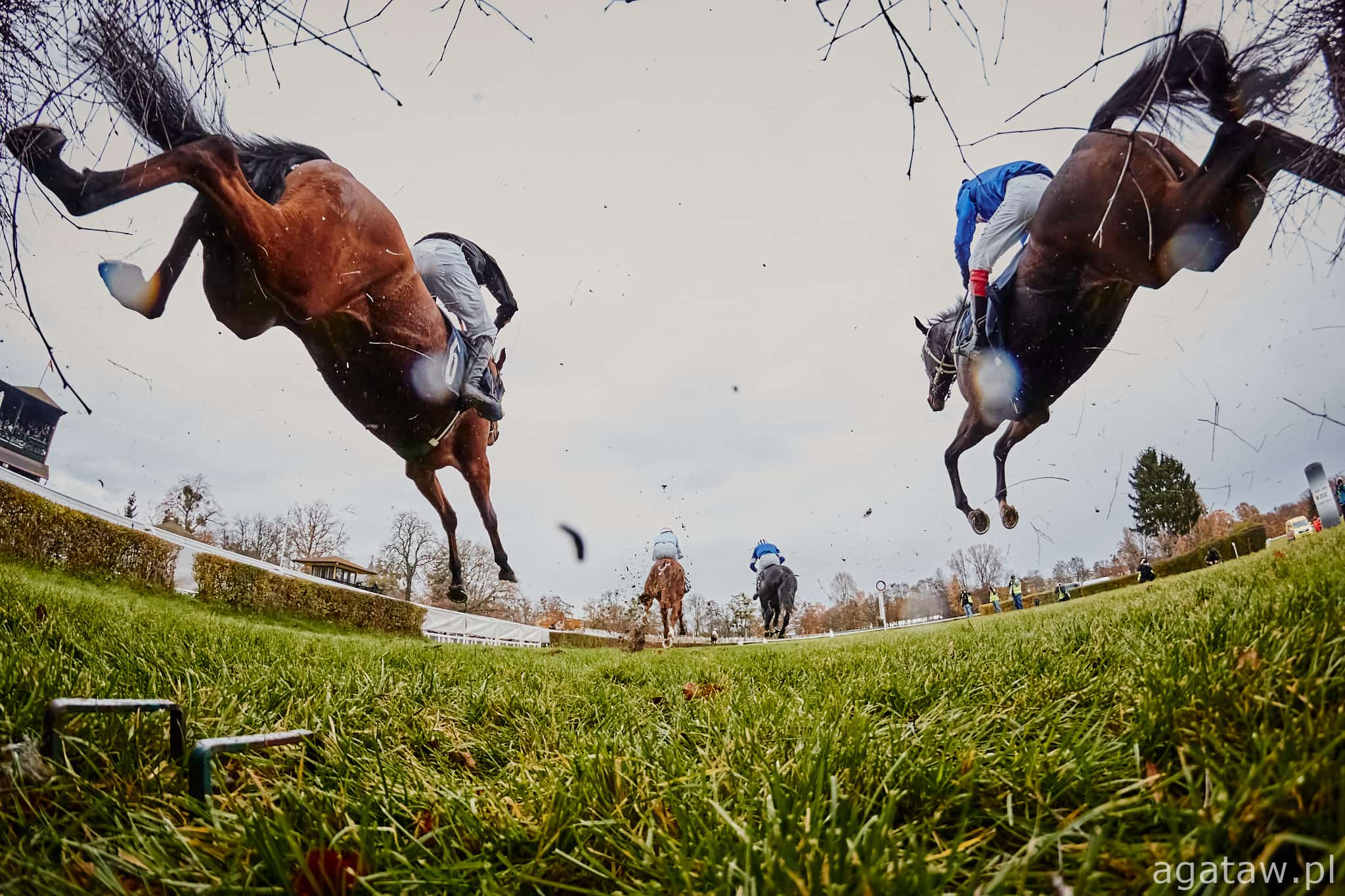 img: Z Partynic do Włoch jadą Rozbójnik i Tode