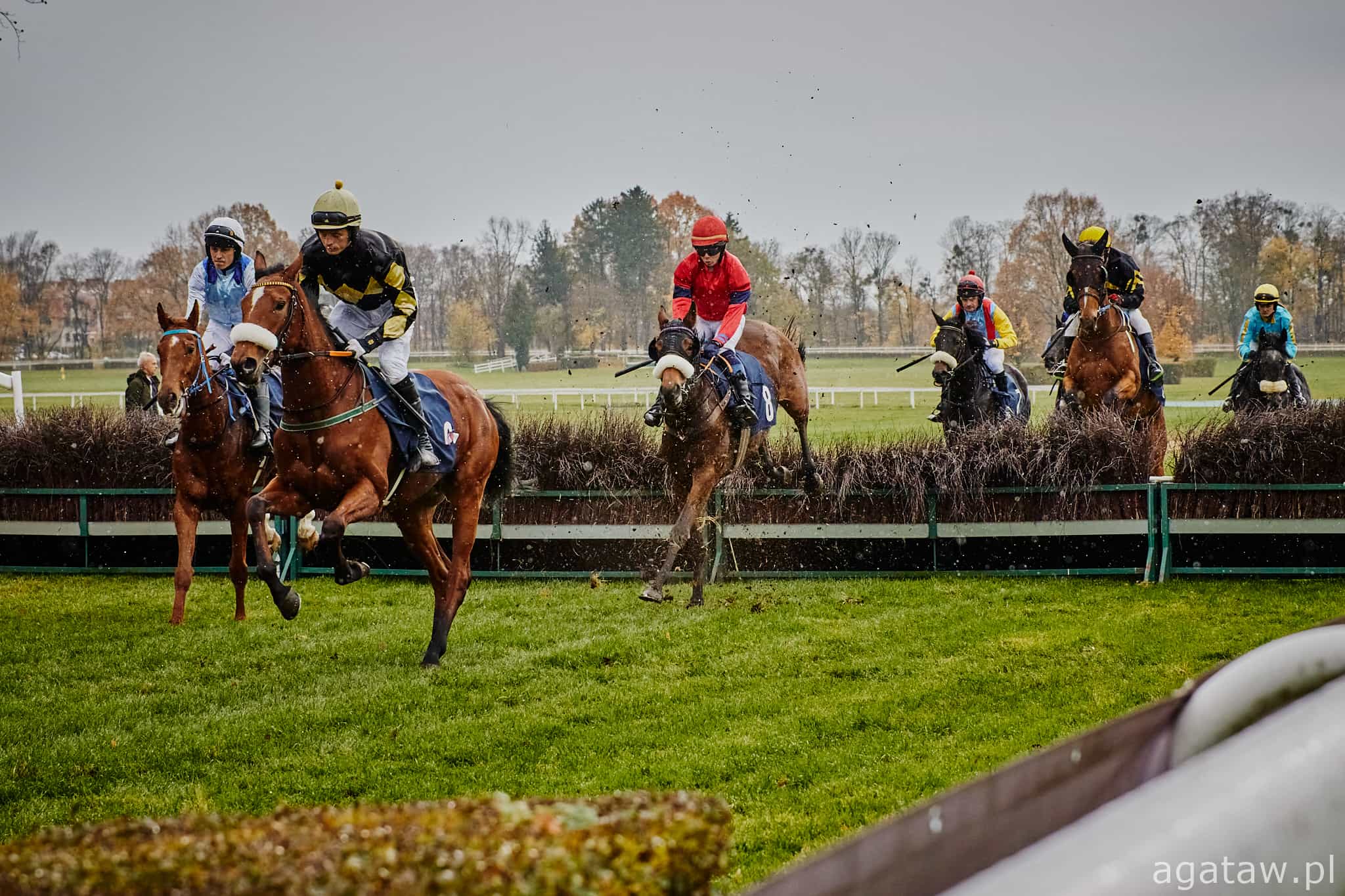 img: Jurorka z Partynic pobiegnie we Włoszech