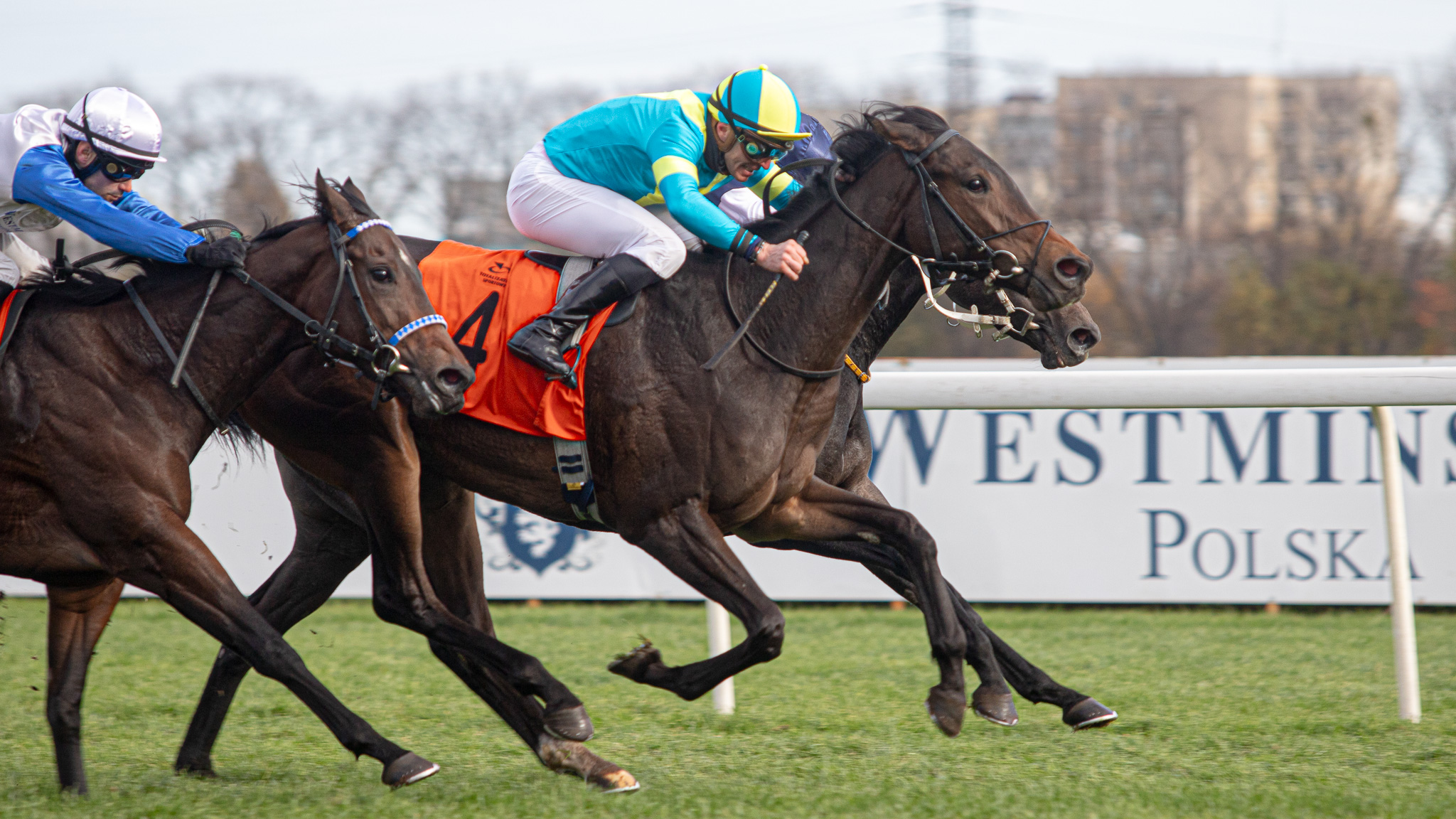 img: Kwartet ze Służewca w Chantilly