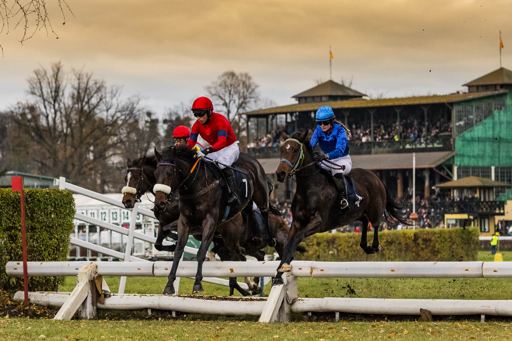 img: Czwartek na San Rossore – startują Trurl i Policy Alma