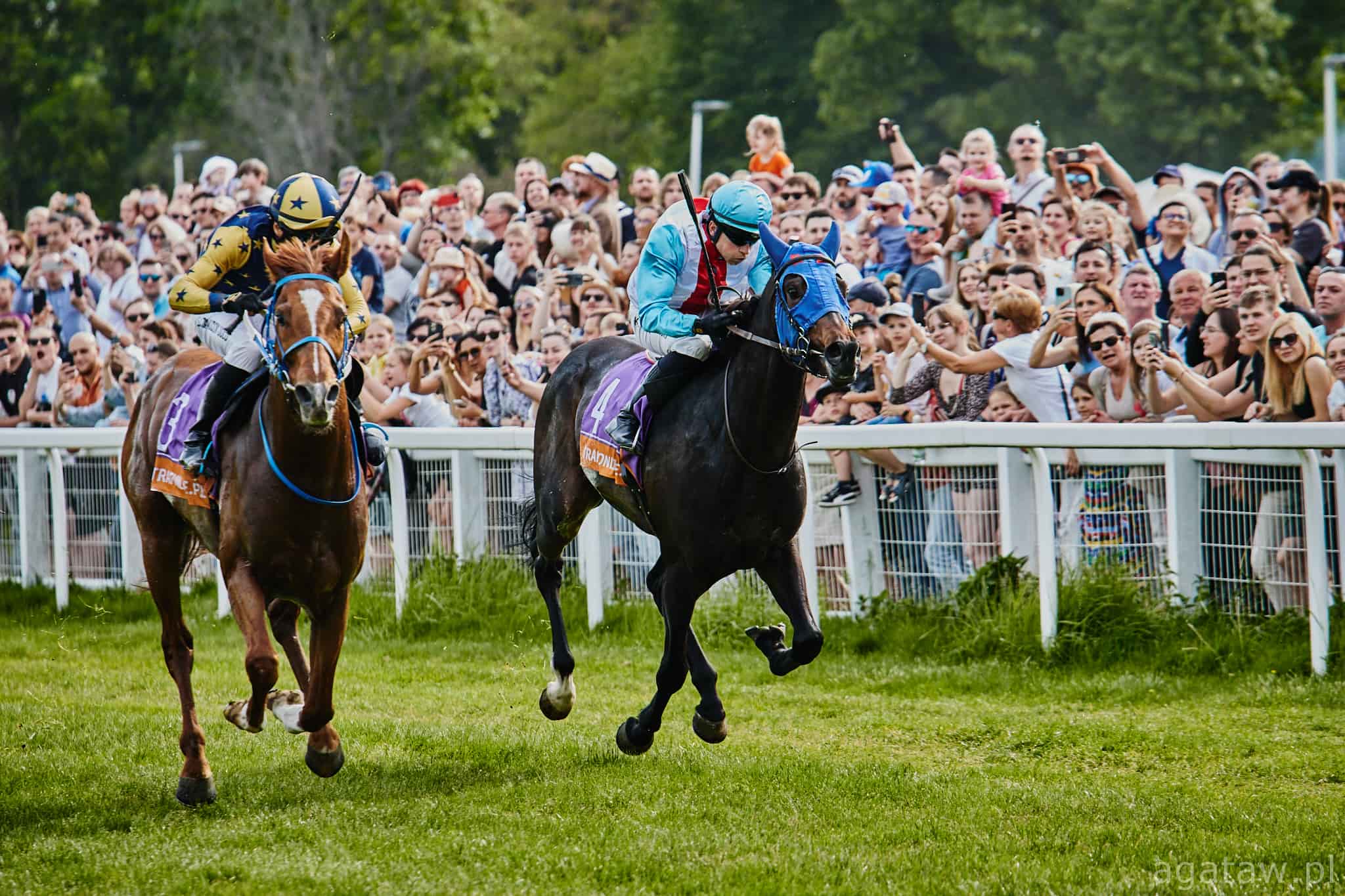 img: Piąte miejsce na dobry początek – Lion of Venice z zyskiem w Chantilly