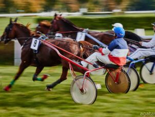 img: Fuks Hokkaido Jiel wygrał Prix d’Amerique