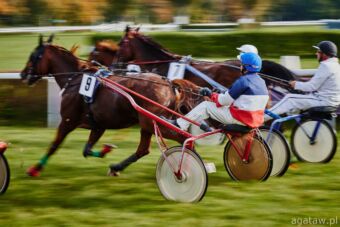 img: Fuks Hokkaido Jiel wygrał Prix d’Amerique