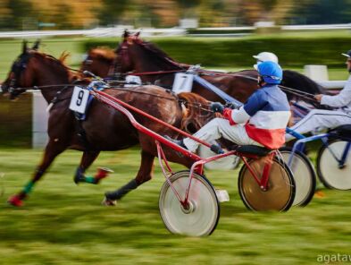 img: Fuks Hokkaido Jiel wygrał Prix d’Amerique