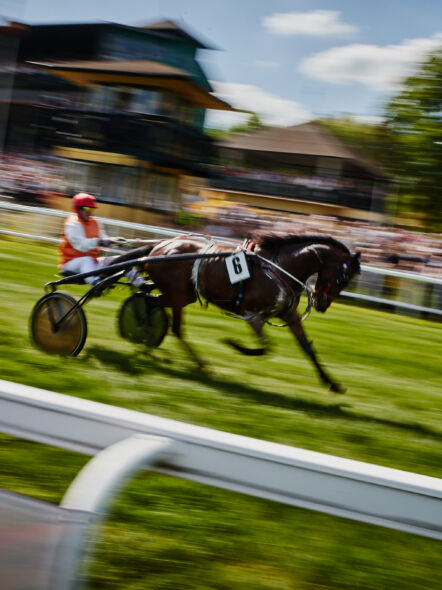 img: 12 dzień wyścigowy 2026 – Zakończenie Sezonu