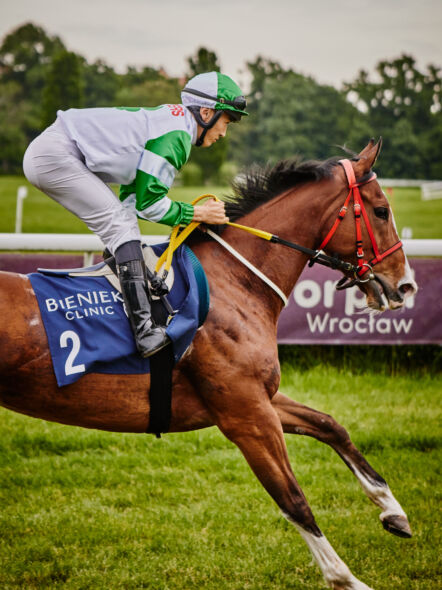 img: 12 dzień wyścigowy 2026 – Zakończenie Sezonu