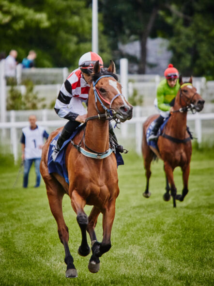 img: 12 dzień wyścigowy 2026 – Zakończenie Sezonu