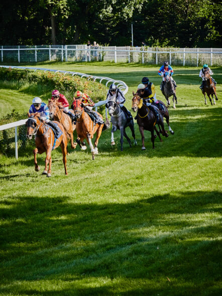 img: 12 dzień wyścigowy 2026 – Zakończenie Sezonu