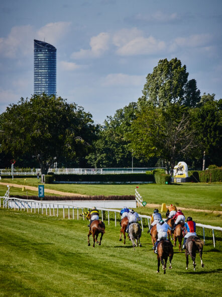 img: 12 dzień wyścigowy 2026 – Zakończenie Sezonu