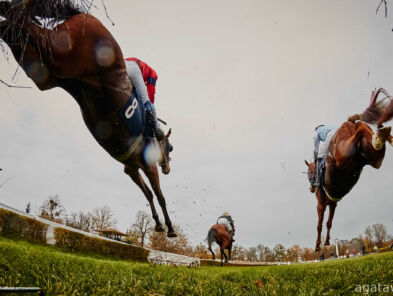 img: Festiwal w Cheltenham pełen gwiazd