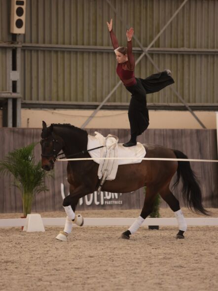 img: CVI Wrocław Vaulting 2026