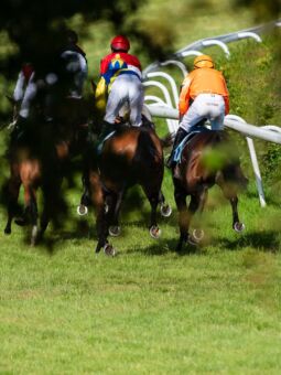 img: Romantic Warrior w drodze po koronę