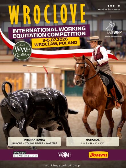 img: Wrocławska Liga Hobby Horse 10/26