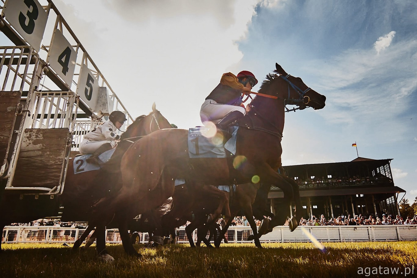img: Pegasus World Cup: White Abarrio w obronie tytułu