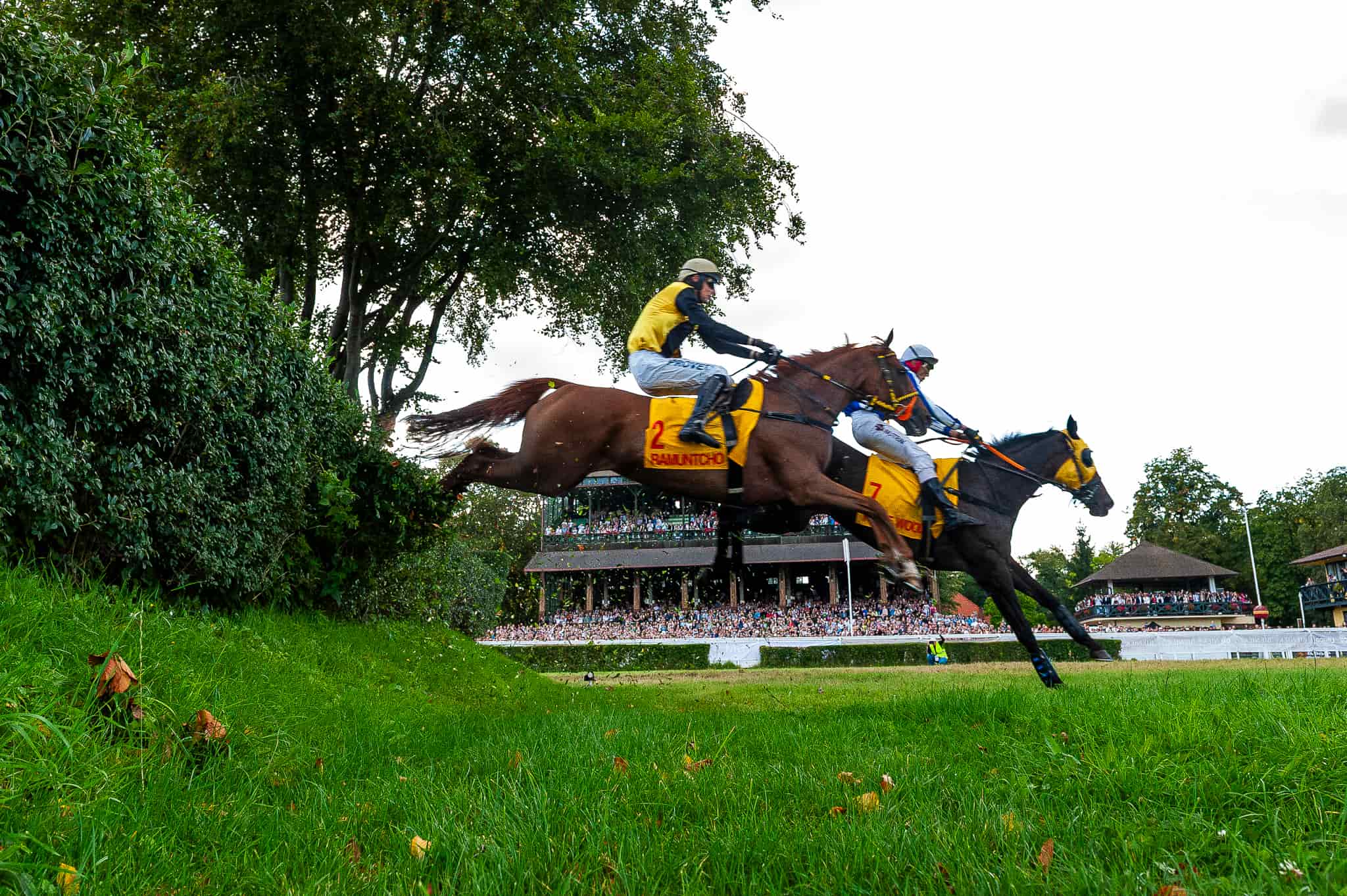 img: Wrocław rozpoczyna tegoroczny sezon wyścigów konnych w Polsce