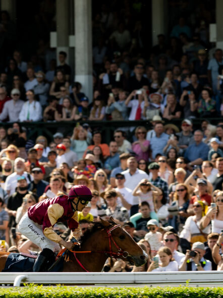 img: 12 dzień wyścigowy 2026 – Zakończenie Sezonu