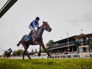 img: Galopem po rekord: Ka Ying Rising wygrywa 18. raz pod rząd