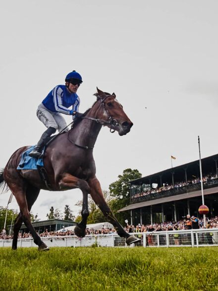 img: Galopem po rekord: Ka Ying Rising wygrywa 18. raz pod rząd