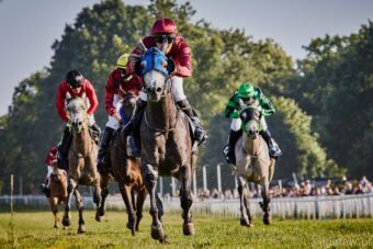 img: Blisko 200 koni szykuje na Partynicach formę do sezonu