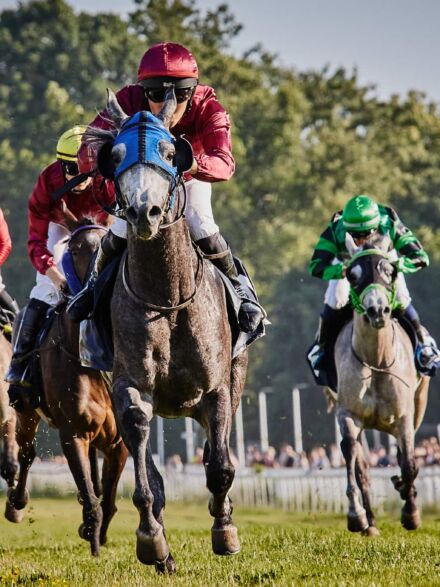 img: Blisko 200 koni szykuje na Partynicach formę do sezonu