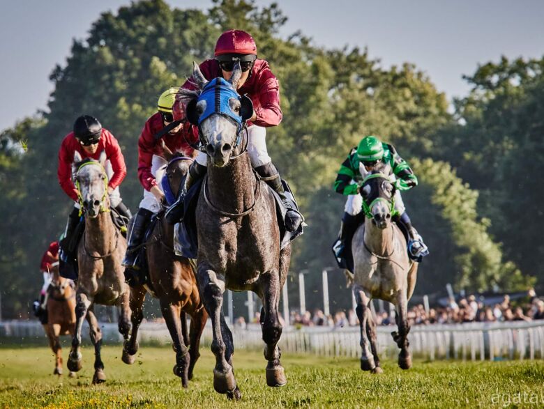 img: Blisko 200 koni szykuje na Partynicach formę do sezonu