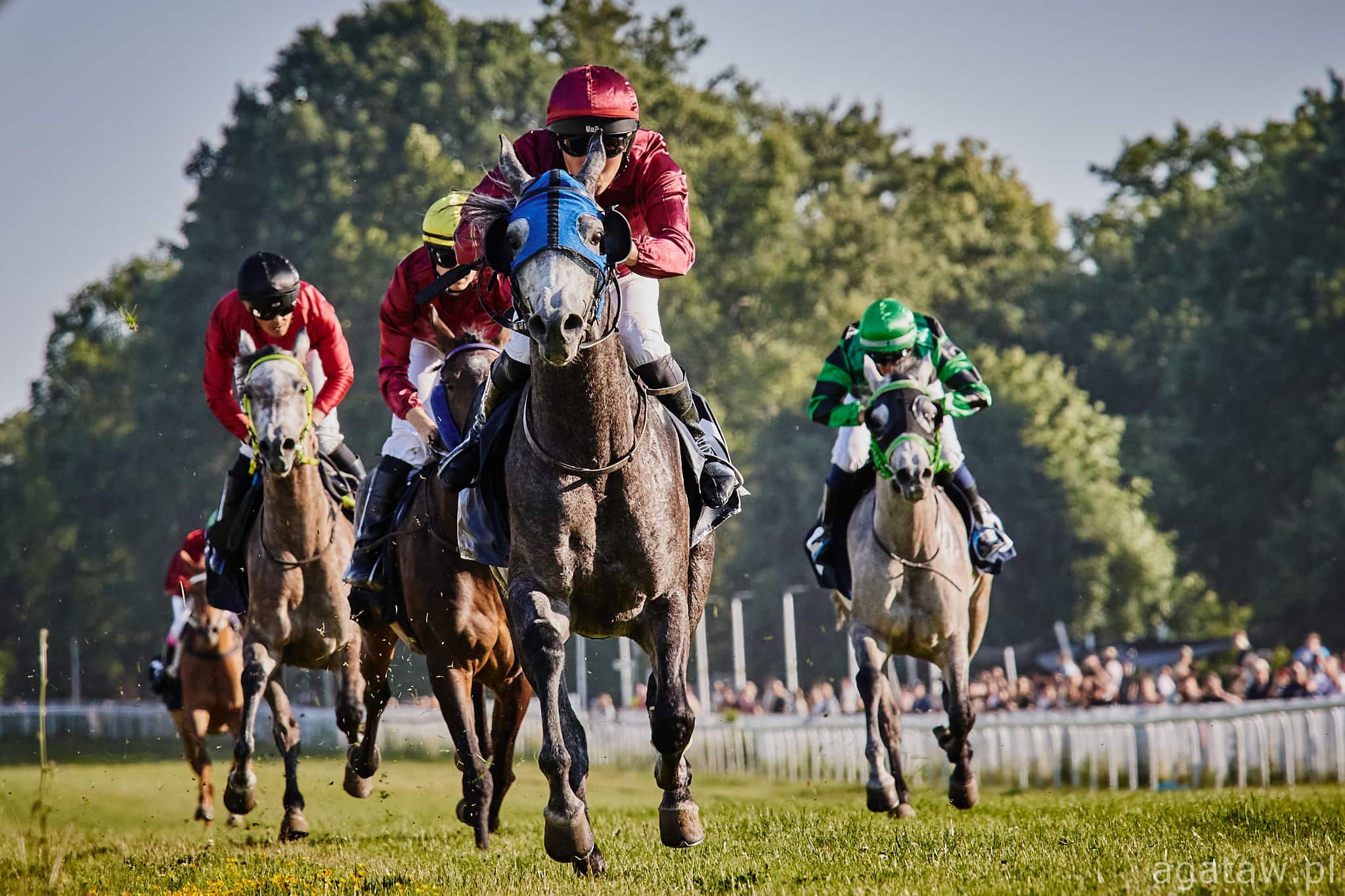 img: Blisko 200 koni szykuje na Partynicach formę do sezonu