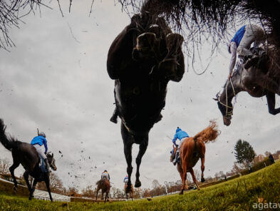 img: Dublin Racing Festival: Irish Champion Hurdle nie dla Mullinsa