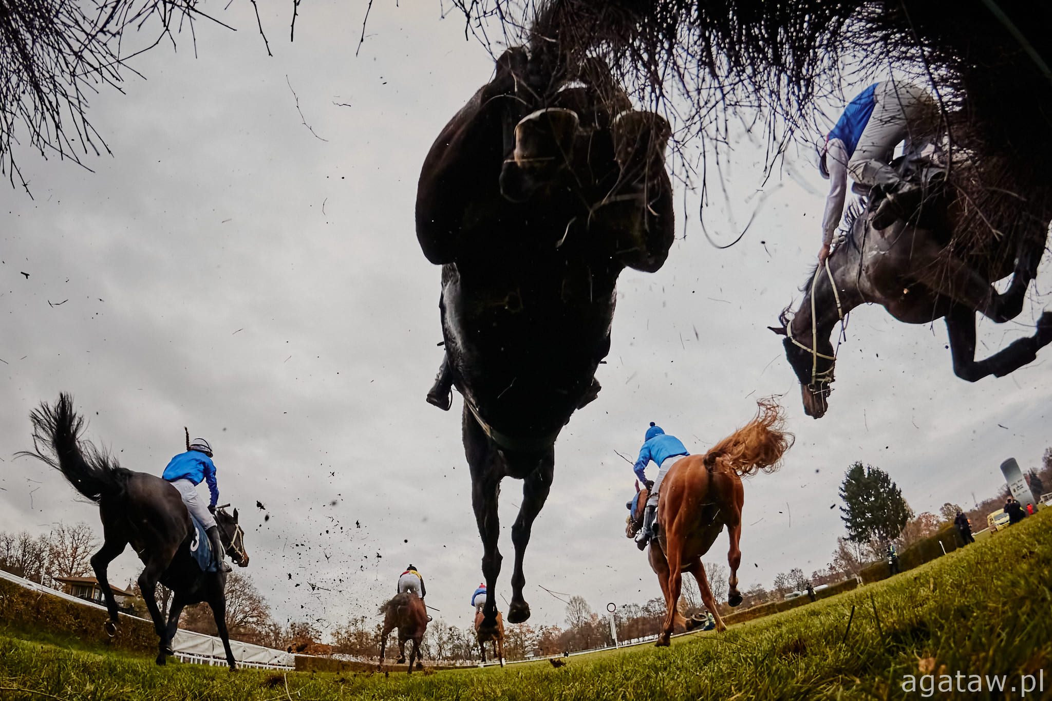 img: Dublin Racing Festival: Irish Champion Hurdle nie dla Mullinsa