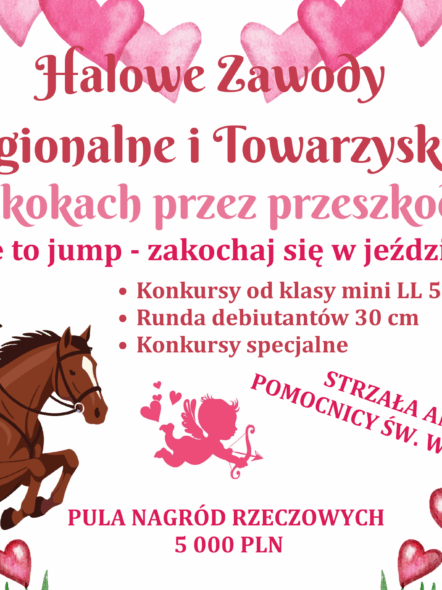 img: Walentynkowe Halowe Zawody Regionalne i Towarzyskie Pro-Hippika + Hobby Horse 02/26