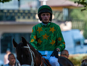 img: Przeszkodowe nadzieje i… konie arabskie