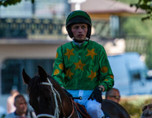 img: Przeszkodowe nadzieje i… konie arabskie