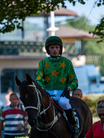 img: Przeszkodowe nadzieje i… konie arabskie