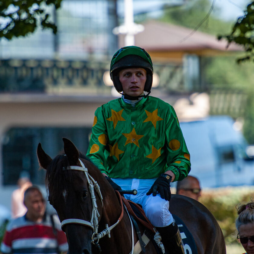 img: Przeszkodowe nadzieje i… konie arabskie