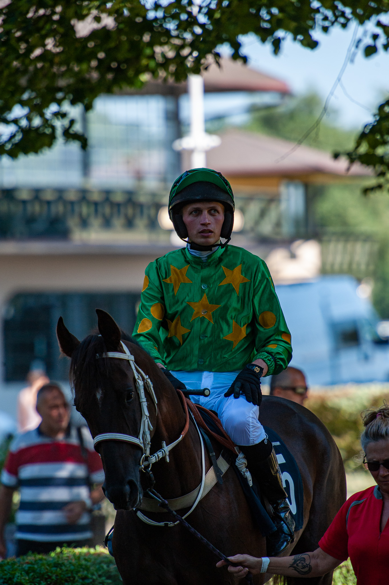 img: Przeszkodowe nadzieje i… konie arabskie