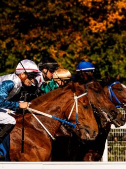 img: Polskie zwycięstwo w Chantilly