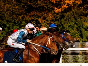 img: Polskie zwycięstwo w Chantilly