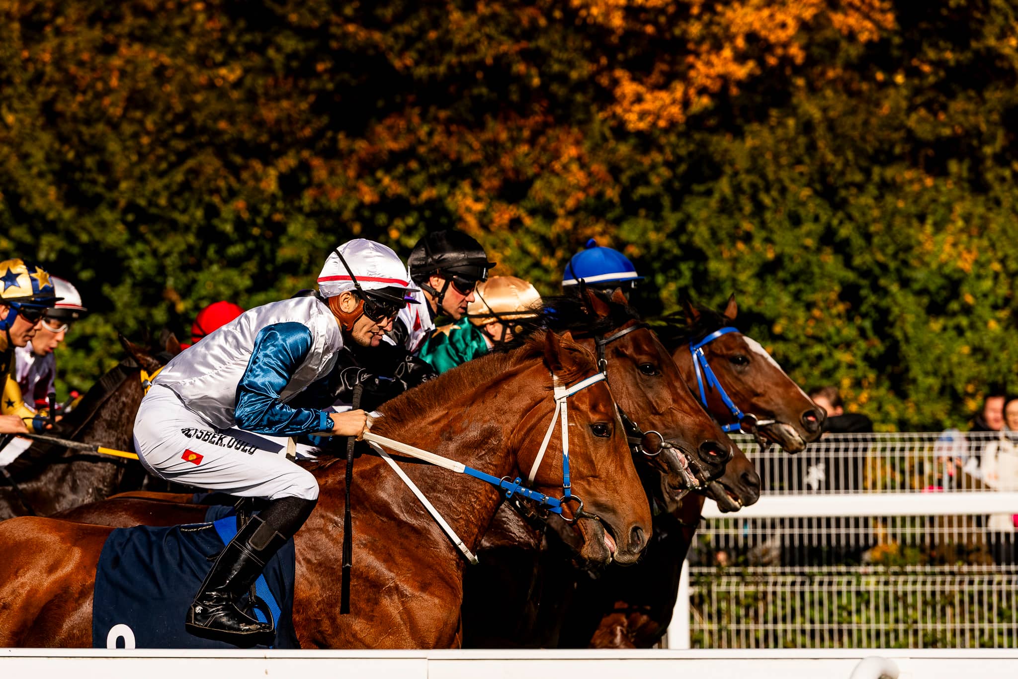 img: Polskie zwycięstwo w Chantilly