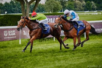 img: Polski dżokej triumfalnie rozpoczyna udział w katarskim festiwalu