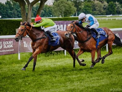 img: Polski dżokej triumfalnie rozpoczyna udział w katarskim festiwalu
