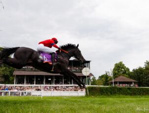 img: Płotowy czempion Constitution Hill zmienia dyscyplinę