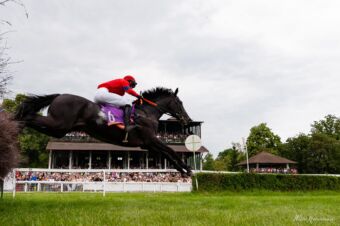 img: Płotowy czempion Constitution Hill zmienia dyscyplinę