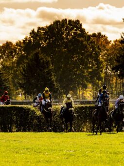 img: Irish Gold Cup: Całe podium dla irlandzkiego maga
