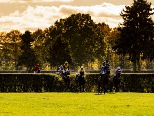 img: Irish Gold Cup: Całe podium dla irlandzkiego maga