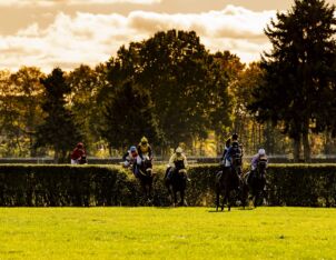 img: Irish Gold Cup: Całe podium dla irlandzkiego maga