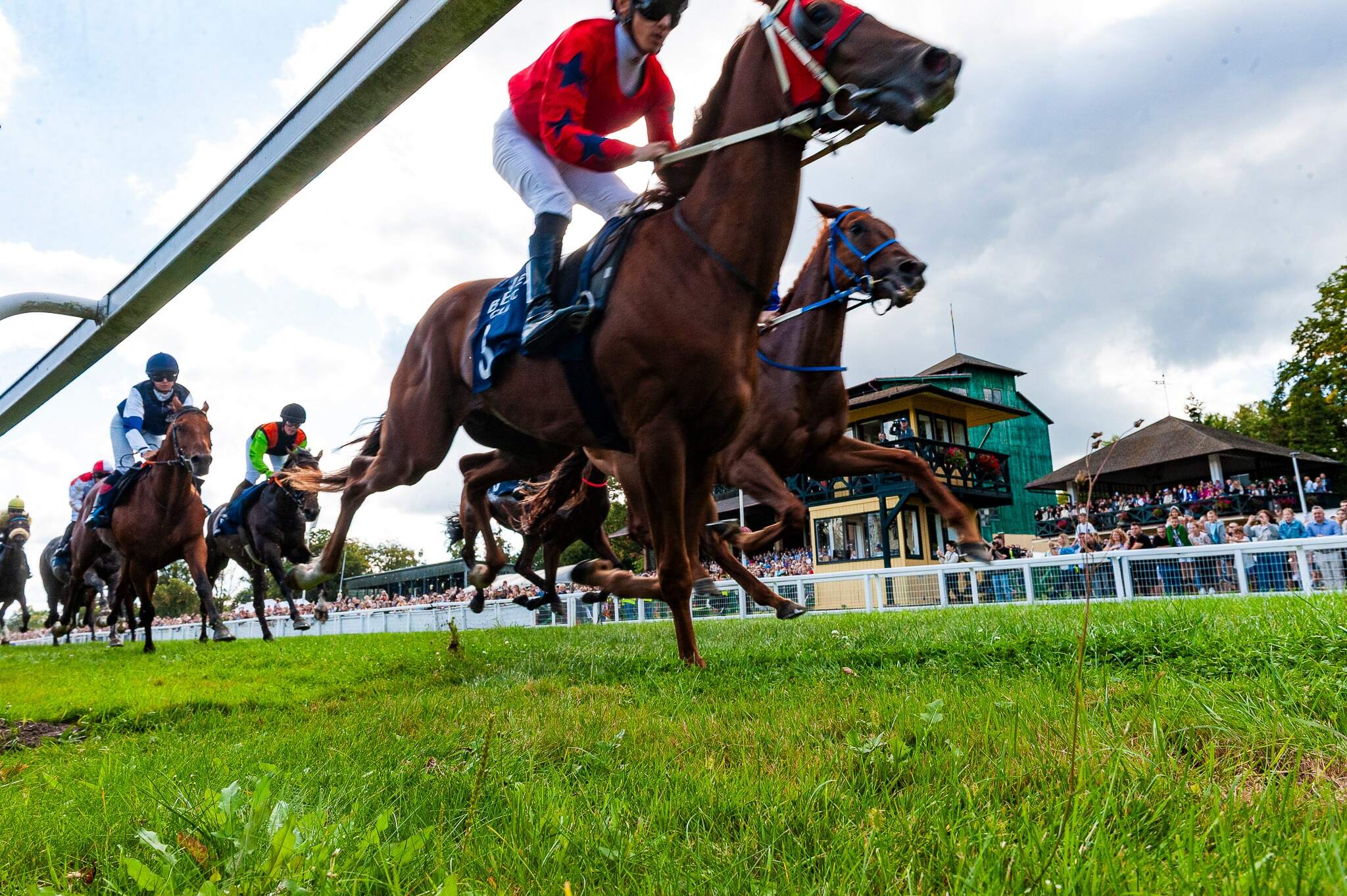 img: Pierwszy Złoty Puchar Abu Zabi zdobył Strauss z Japonii