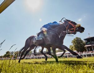 img: W Dubaju faworytom łatwiej na trawie