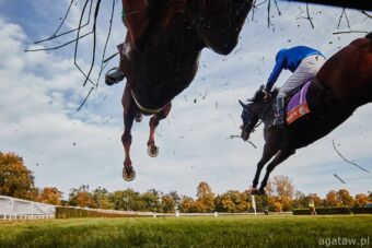 img: Lossiemouth bezkonkurencyjna w Champion Hurdle